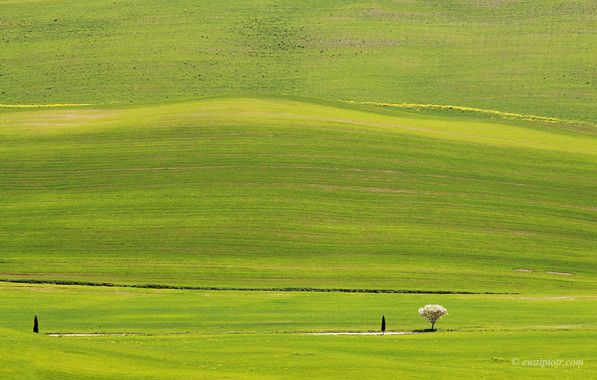<span id="wp-image-3929" class="exif"><span class="aperture">Przysłona: ƒ/8 <span class="focal_length">Ogniskowa: 200mm <span class="iso">Czułość ISO: 200 <span class="shutter_speed">Czas naświetlania: 1/100s </span>