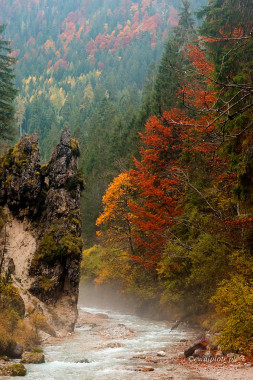 <span id="wp-image-10247" class="exif"><span class="aperture">Przysłona: ƒ/7.1 <span class="focal_length">Ogniskowa: 50mm <span class="iso">Czułość ISO: 400 <span class="shutter_speed">Czas naświetlania: 1/40s </span>