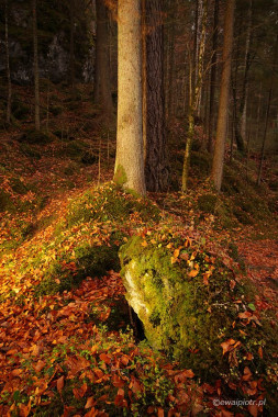 <span id="wp-image-12759" class="exif"><span class="aperture">Przysłona: ƒ/8 <span class="focal_length">Ogniskowa: 16mm <span class="iso">Czułość ISO: 100 <span class="shutter_speed">Czas naświetlania: 80s </span>