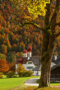 <span id="wp-image-14171" class="exif"><span class="aperture">Przysłona: ƒ/8 <span class="focal_length">Ogniskowa: 50mm <span class="iso">Czułość ISO: 400 <span class="shutter_speed">Czas naświetlania: 1/160s </span>