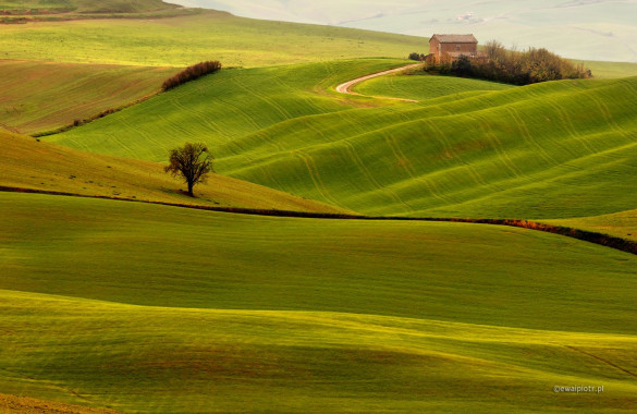 <span id="wp-image-17364" class="exif"><span class="aperture">Przysłona: ƒ/8 <span class="focal_length">Ogniskowa: 280mm <span class="iso">Czułość ISO: 100 <span class="shutter_speed">Czas naświetlania: 1/2.5s </span>