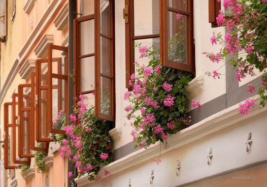 <span id="wp-image-17820" class="exif"><span class="aperture">Przysłona: ƒ/8 <span class="focal_length">Ogniskowa: 106mm <span class="iso">Czułość ISO: 400 <span class="shutter_speed">Czas naświetlania: 1/100s </span>