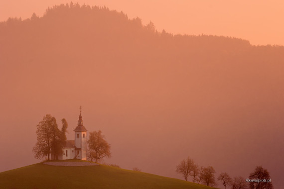 <span id="wp-image-17821" class="exif"><span class="aperture">Przysłona: ƒ/10 <span class="focal_length">Ogniskowa: 300mm <span class="iso">Czułość ISO: 100 <span class="shutter_speed">Czas naświetlania: 1/4s </span>