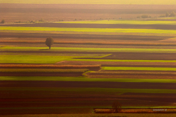 <span id="wp-image-17842" class="exif"><span class="aperture">Przysłona: ƒ/10 <span class="focal_length">Ogniskowa: 400mm <span class="iso">Czułość ISO: 100 <span class="shutter_speed">Czas naświetlania: 1/125s </span>