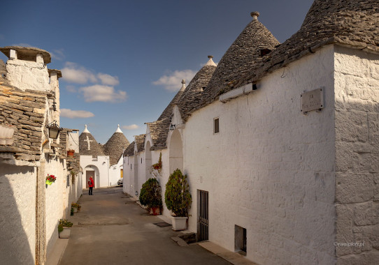 <span id="wp-image-22172" class="exif"><span class="aperture">Przysłona: ƒ/8 <span class="focal_length">Ogniskowa: 24mm <span class="iso">Czułość ISO: 400 <span class="shutter_speed">Czas naświetlania: 1/500s </span>