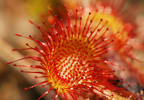 <span id="wp-image-2312" class="exif"><span class="aperture">Przysłona: ƒ/8 <span class="focal_length">Ogniskowa: 150mm <span class="iso">Czułość ISO: 400 <span class="shutter_speed">Czas naświetlania: 1/200s </span>