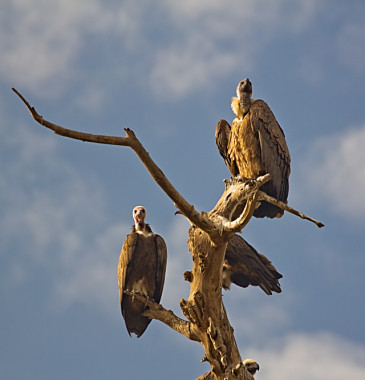 <span id="wp-image-2477" class="exif"><span class="aperture">Przysłona: ƒ/4 <span class="focal_length">Ogniskowa: 200mm <span class="iso">Czułość ISO: 100 <span class="shutter_speed">Czas naświetlania: 1/400s </span>