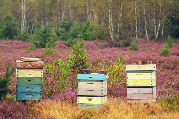 <span id="wp-image-3377" class="exif"><span class="aperture">Przysłona: ƒ/8 <span class="focal_length">Ogniskowa: 200mm <span class="iso">Czułość ISO: 100 <span class="shutter_speed">Czas naświetlania: 1/25s </span>