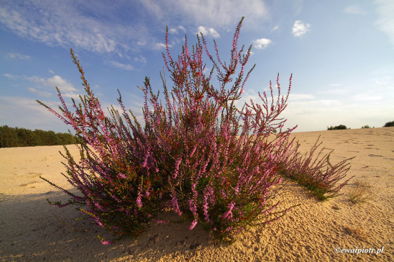 <span id="wp-image-5186" class="exif"><span class="aperture">Przysłona: ƒ/11 <span class="focal_length">Ogniskowa: 10mm <span class="iso">Czułość ISO: 100 <span class="shutter_speed">Czas naświetlania: 1/30s </span>