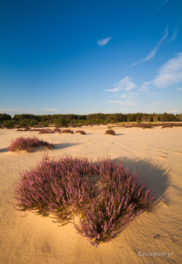 <span id="wp-image-5191" class="exif"><span class="aperture">Przysłona: ƒ/11 <span class="focal_length">Ogniskowa: 10mm <span class="iso">Czułość ISO: 100 <span class="shutter_speed">Czas naświetlania: 1/30s </span>