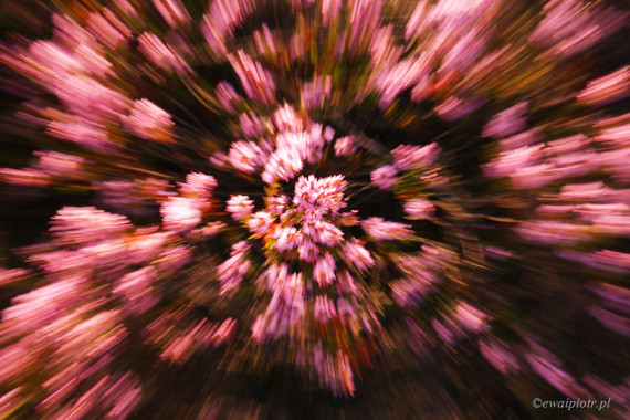 <span id="wp-image-5189" class="exif"><span class="aperture">Przysłona: ƒ/11 <span class="focal_length">Ogniskowa: 50mm <span class="iso">Czułość ISO: 100 <span class="shutter_speed">Czas naświetlania: 1/6s </span>