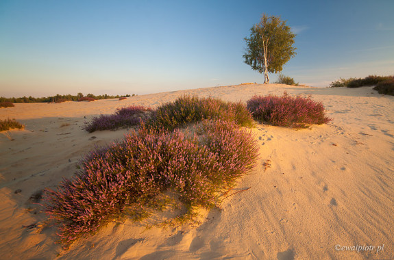 <span id="wp-image-5201" class="exif"><span class="aperture">Przysłona: ƒ/11 <span class="focal_length">Ogniskowa: 10mm <span class="iso">Czułość ISO: 100 <span class="shutter_speed">Czas naświetlania: 1/5s </span>