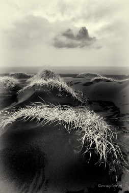 <span id="wp-image-10496" class="exif"><span class="aperture">Przysłona: ƒ/11 <span class="focal_length">Ogniskowa: 16mm <span class="iso">Czułość ISO: 400 <span class="shutter_speed">Czas naświetlania: 1/40s </span>