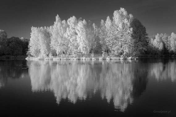<span id="wp-image-11044" class="exif"><span class="aperture">Przysłona: ƒ/8 <span class="focal_length">Ogniskowa: 31mm <span class="iso">Czułość ISO: 200 <span class="shutter_speed">Czas naświetlania: 1/50s </span>