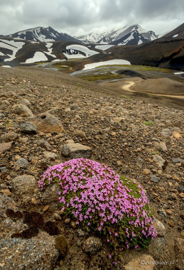 <span id="wp-image-11248" class="exif"><span class="aperture">Przysłona: ƒ/11 <span class="focal_length">Ogniskowa: 10mm <span class="iso">Czułość ISO: 200 <span class="shutter_speed">Czas naświetlania: 1/80s </span>