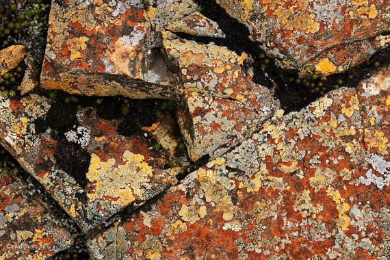 <span id="wp-image-11424" class="exif"><span class="aperture">Przysłona: ƒ/8 <span class="focal_length">Ogniskowa: 55mm <span class="iso">Czułość ISO: 400 <span class="shutter_speed">Czas naświetlania: 1/100s </span>