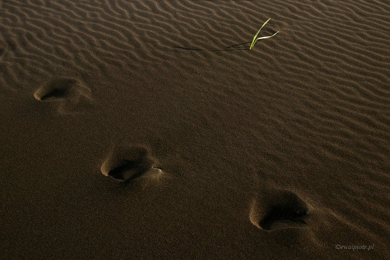 <span id="wp-image-11422" class="exif"><span class="aperture">Przysłona: ƒ/8 <span class="focal_length">Ogniskowa: 29mm <span class="iso">Czułość ISO: 400 <span class="shutter_speed">Czas naświetlania: 1/80s </span>