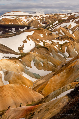 <span id="wp-image-11401" class="exif"><span class="aperture">Przysłona: ƒ/8 <span class="focal_length">Ogniskowa: 47mm <span class="iso">Czułość ISO: 200 <span class="shutter_speed">Czas naświetlania: 1/250s </span>