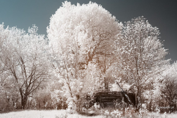 <span id="wp-image-13144" class="exif"><span class="aperture">Przysłona: ƒ/8 <span class="focal_length">Ogniskowa: 24mm <span class="iso">Czułość ISO: 200 <span class="shutter_speed">Czas naświetlania: 1/100s </span>