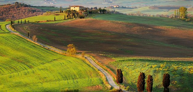 <span id="wp-image-14568" class="exif"><span class="aperture">Przysłona: ƒ/8 <span class="focal_length">Ogniskowa: 93mm <span class="iso">Czułość ISO: 100 <span class="shutter_speed">Czas naświetlania: 1/13s </span>