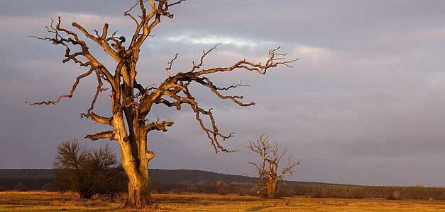 <span id="wp-image-14586" class="exif"><span class="aperture">Przysłona: ƒ/8 <span class="focal_length">Ogniskowa: 67mm <span class="iso">Czułość ISO: 100 <span class="shutter_speed">Czas naświetlania: 1/13s </span>