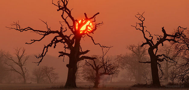 <span id="wp-image-14571" class="exif"><span class="aperture">Przysłona: ƒ/8 <span class="focal_length">Ogniskowa: 200mm <span class="iso">Czułość ISO: 100 <span class="shutter_speed">Czas naświetlania: 1/50s </span>