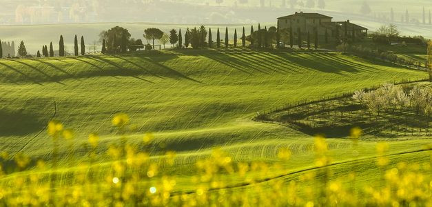 <span id="wp-image-14554" class="exif"><span class="aperture">Przysłona: ƒ/11 <span class="focal_length">Ogniskowa: 300mm <span class="iso">Czułość ISO: 100 <span class="shutter_speed">Czas naświetlania: 1/60s </span>