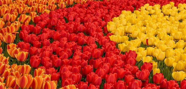 <span id="wp-image-14574" class="exif"><span class="aperture">Przysłona: ƒ/11 <span class="focal_length">Ogniskowa: 70mm <span class="iso">Czułość ISO: 400 <span class="shutter_speed">Czas naświetlania: 1/60s </span>