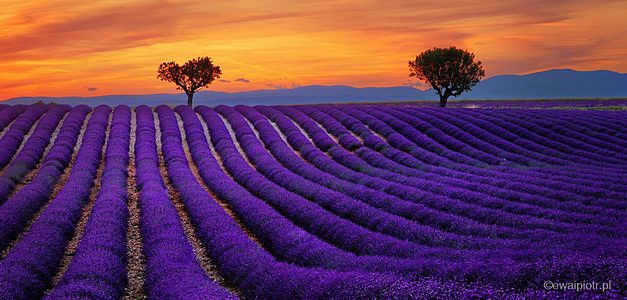 <span id="wp-image-14556" class="exif"><span class="aperture">Przysłona: ƒ/11 <span class="focal_length">Ogniskowa: 70mm <span class="iso">Czułość ISO: 100 <span class="shutter_speed">Czas naświetlania: 1s </span>