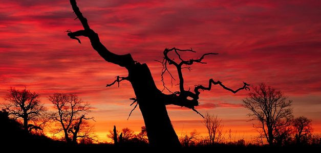 <span id="wp-image-16664" class="exif"><span class="aperture">Przysłona: ƒ/11 <span class="focal_length">Ogniskowa: 24mm <span class="iso">Czułość ISO: 100 <span class="shutter_speed">Czas naświetlania: 1/3s </span>