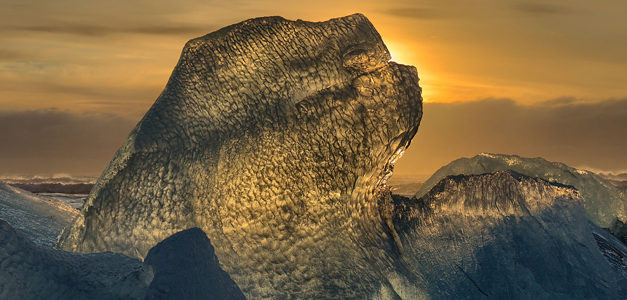 <span id="wp-image-16612" class="exif"><span class="aperture">Przysłona: ƒ/8 <span class="focal_length">Ogniskowa: 55mm <span class="iso">Czułość ISO: 200 <span class="shutter_speed">Czas naświetlania: 1/500s </span>