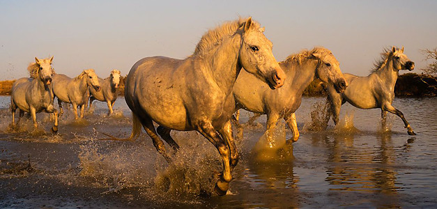 <span id="wp-image-17312" class="exif"><span class="aperture">Przysłona: ƒ/5.6 <span class="focal_length">Ogniskowa: 27mm <span class="iso">Czułość ISO: 400 <span class="shutter_speed">Czas naświetlania: 1/1000s </span>