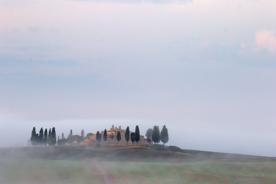 Mgły Toskanii