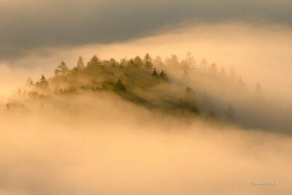 Mgła w górach, Słowenia