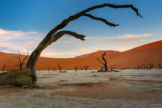 Deadvlei, Namibia