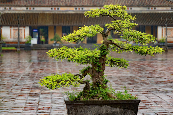 <span id="wp-image-23989" class="exif"><span class="aperture">Przysłona: ƒ/4 <span class="focal_length">Ogniskowa: 70mm <span class="iso">Czułość ISO: 500 <span class="shutter_speed">Czas naświetlania: 1/200s </span>