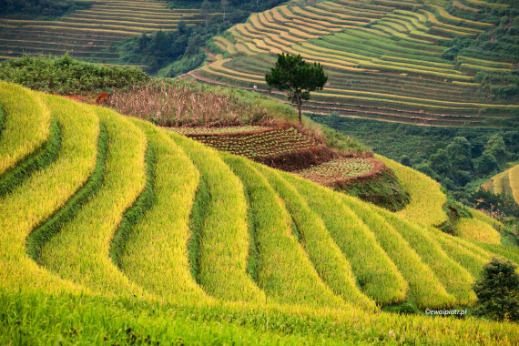 <span id="wp-image-23980" class="exif"><span class="aperture">Przysłona: ƒ/8 <span class="focal_length">Ogniskowa: 200mm <span class="iso">Czułość ISO: 1600 <span class="shutter_speed">Czas naświetlania: 1/60s </span>