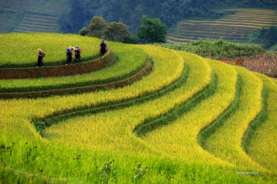 <span id="wp-image-23977" class="exif"><span class="aperture">Przysłona: ƒ/8 <span class="focal_length">Ogniskowa: 200mm <span class="iso">Czułość ISO: 1600 <span class="shutter_speed">Czas naświetlania: 1/60s </span>