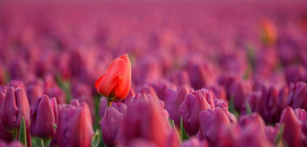 <span id="wp-image-24093" class="exif"><span class="aperture">Przysłona: ƒ/5.6 <span class="focal_length">Ogniskowa: 229mm <span class="iso">Czułość ISO: 200 <span class="shutter_speed">Czas naświetlania: 1/13s </span>