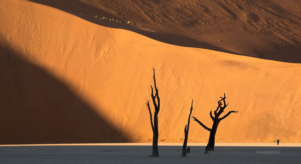 <span id="wp-image-24474" class="exif"><span class="aperture">Przysłona: ƒ/16 <span class="focal_length">Ogniskowa: 180mm <span class="iso">Czułość ISO: 100 <span class="shutter_speed">Czas naświetlania: 1/10s </span>