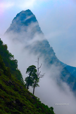 <span id="wp-image-24777" class="exif"><span class="aperture">Przysłona: ƒ/11 <span class="focal_length">Ogniskowa: 155mm <span class="iso">Czułość ISO: 100 <span class="shutter_speed">Czas naświetlania: 1/2s </span>