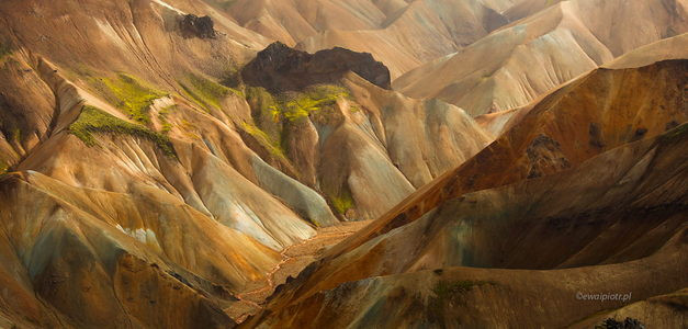 <span id="wp-image-24715" class="exif"><span class="aperture">Przysłona: ƒ/11 <span class="focal_length">Ogniskowa: 100mm <span class="iso">Czułość ISO: 400 <span class="shutter_speed">Czas naświetlania: 1/125s </span>