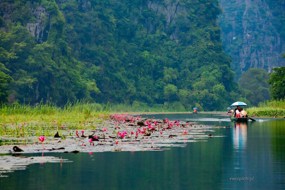 <span id="wp-image-24804" class="exif"><span class="aperture">Przysłona: ƒ/8 <span class="focal_length">Ogniskowa: 200mm <span class="iso">Czułość ISO: 1600 <span class="shutter_speed">Czas naświetlania: 1/640s </span>