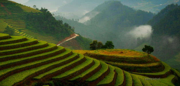 <span id="wp-image-24871" class="exif"><span class="aperture">Przysłona: ƒ/11 <span class="focal_length">Ogniskowa: 70mm <span class="iso">Czułość ISO: 100 <span class="shutter_speed">Czas naświetlania: 1/3s </span>