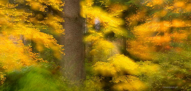 <span id="wp-image-24928" class="exif"><span class="aperture">Przysłona: ƒ/16 <span class="focal_length">Ogniskowa: 129mm <span class="iso">Czułość ISO: 100 <span class="shutter_speed">Czas naświetlania: 5s </span>