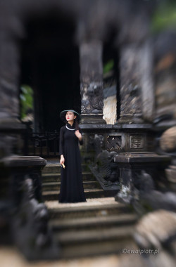 <span id="wp-image-26818" class="exif"><span class="iso">Czułość ISO: 800 <span class="shutter_speed">Czas naświetlania: 1/4000s </span>