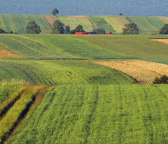 Świętokrzyskie pola, fale, pejzaż