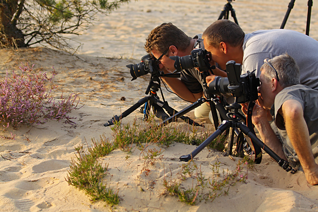 Fotografowanie we Wrzosowej Krainie