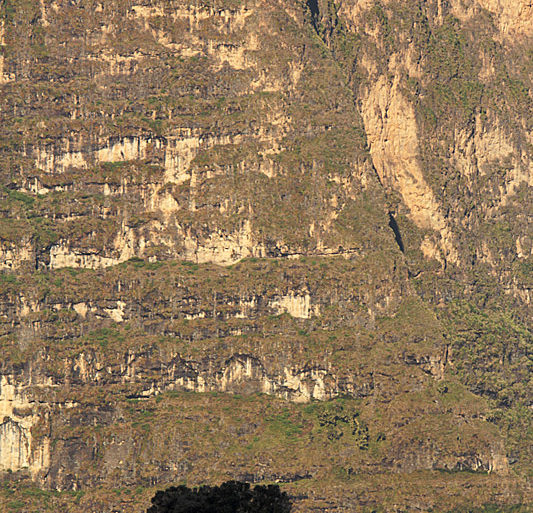 Etiopia, góry Semien, Siemen