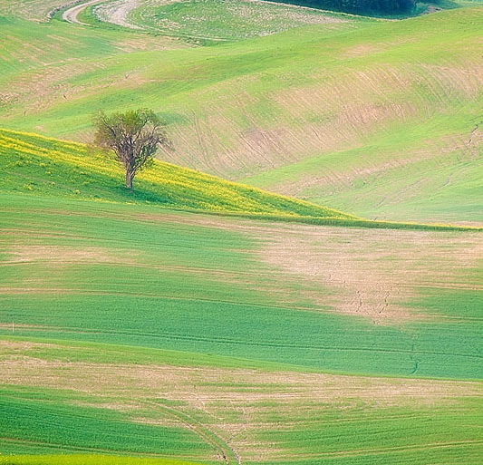 Toskania, Pienza